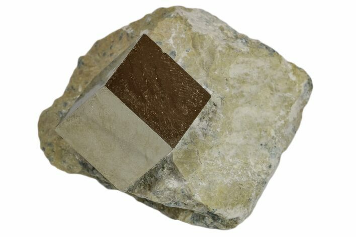 Natural Pyrite Cube In Rock - Navajun, Spain #168442